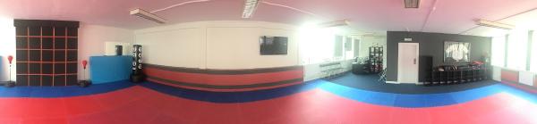 The Dojang Martial Arts Academy