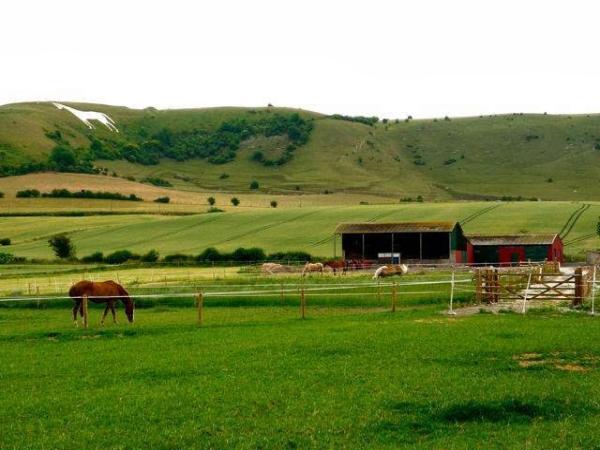 Hillcroft Farm Stables