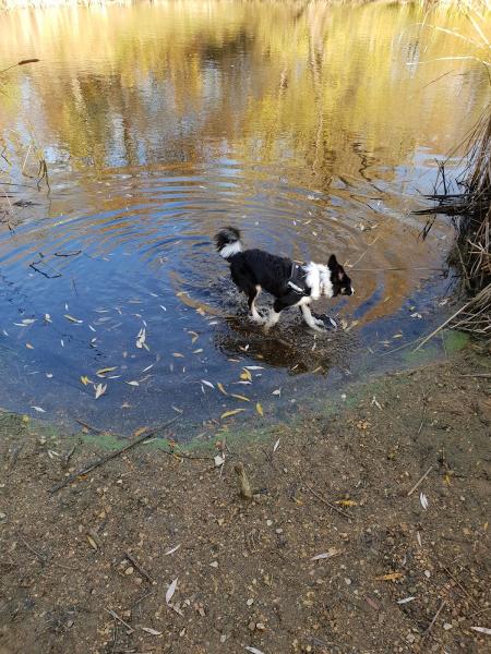 Partridge Farm Equestrian Centre