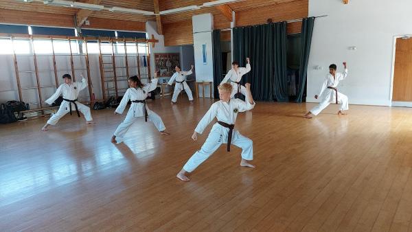 Kenagi Academy of Martial Arts