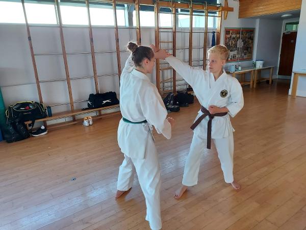 Kenagi Academy of Martial Arts