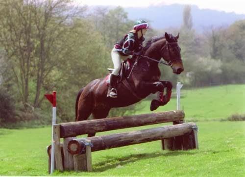 Ellenwhorne Equestrian Centre