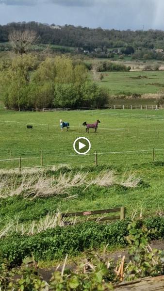 Clevedon Riding Centre