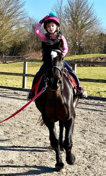 Helen Cowley Riding Academy