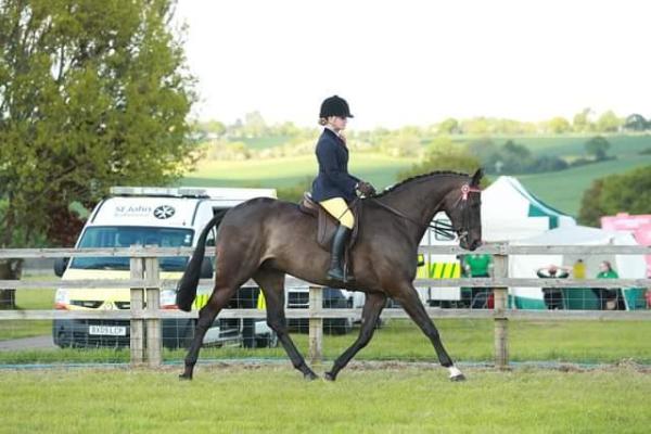 Helen Cowley Riding Academy