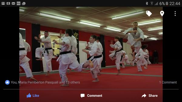 Freestyle Karate Kai UK