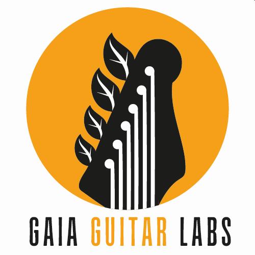 The Guitar Labs