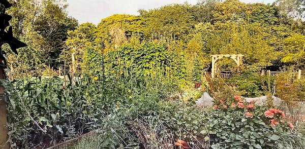 Lower Shaw Farm