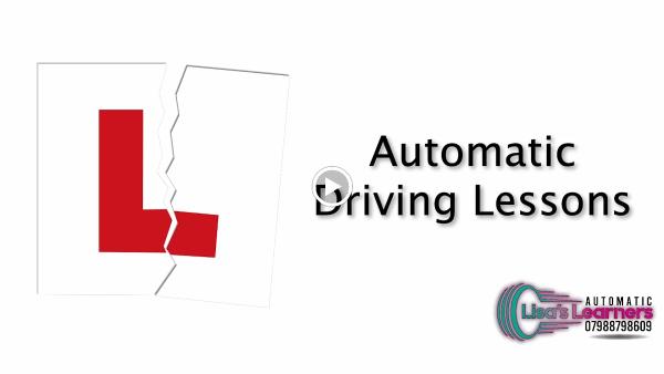 Lisa's Automatic Learners