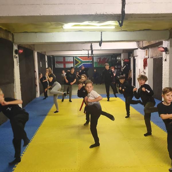 SK Cobras Martial Arts