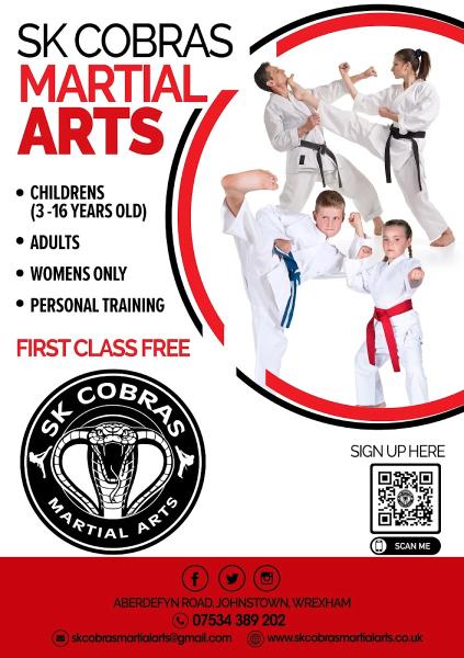 SK Cobras Martial Arts