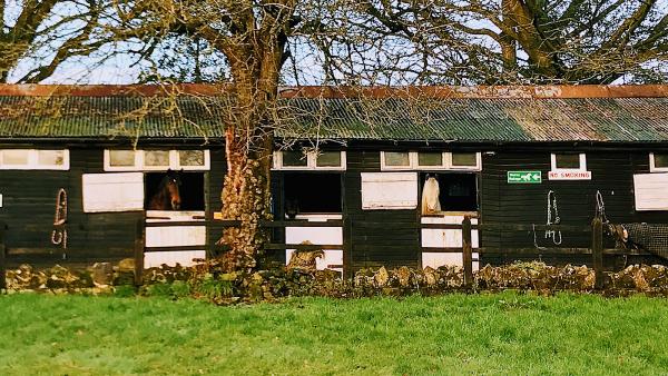 Ashdown Riding
