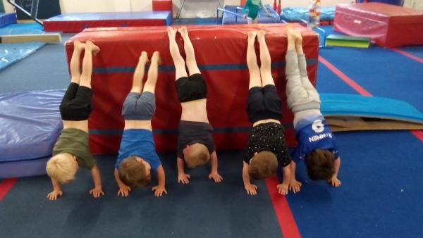 Erewash Valley Gymnastics Club