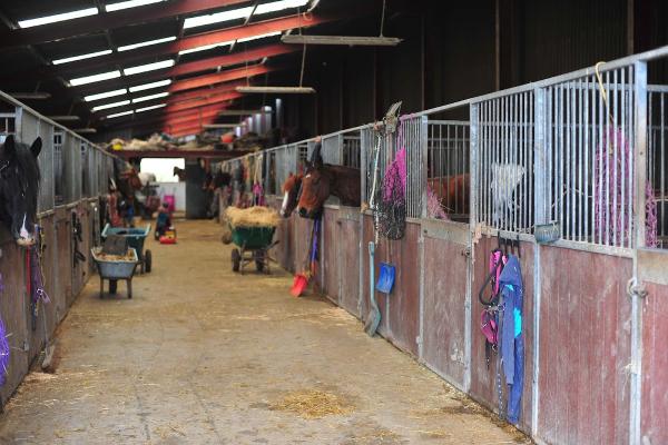 Heart of Wales Riding School