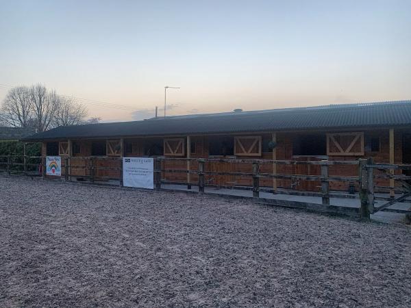 Diamond Equine Training