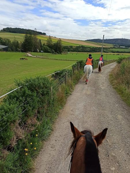 Wardhaugh Farm