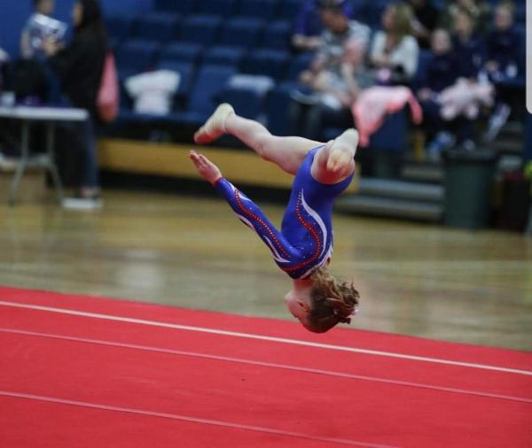 Tolworth Gymnastics Club