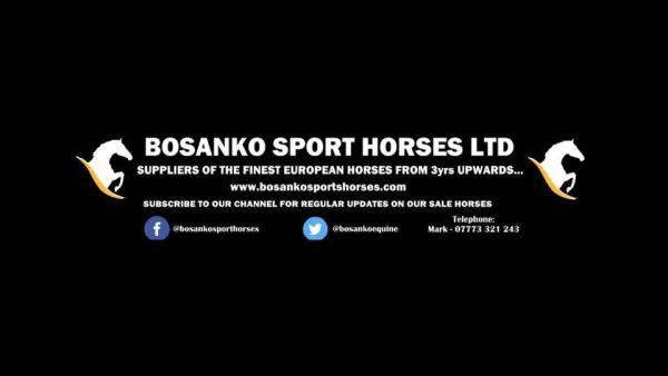 Bosanko Sports Horses Ltd