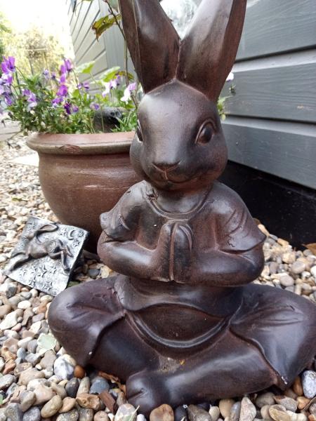 Gazing Hare Yoga
