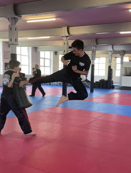 Niko's Martial Arts Academy