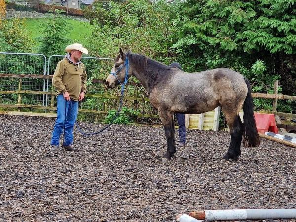 Adam Yates Horsemanship