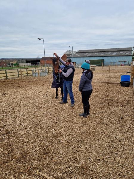 Adam Yates Horsemanship