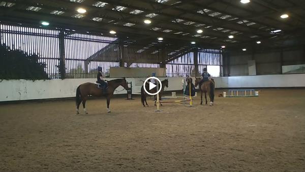 Queenz Equestrian Ltd