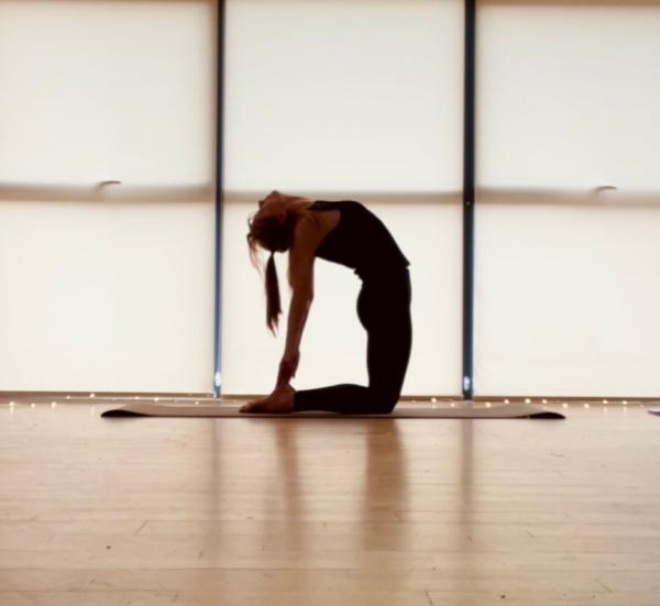 The Yoga and Wellness Clan