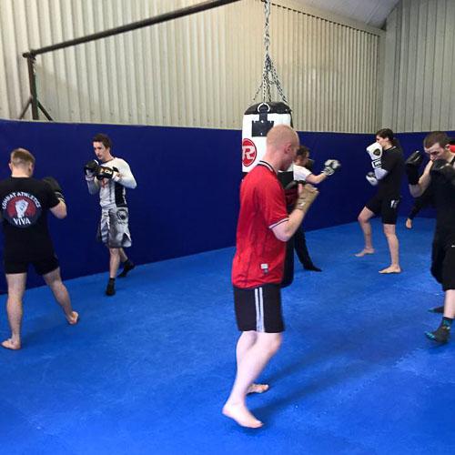 Viva MMA BJJ & Kickboxing