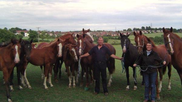 Gamblethorpe Hanoverians