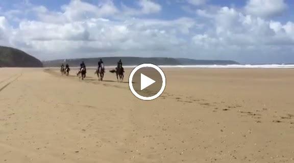 Reen Manor Riding Stables