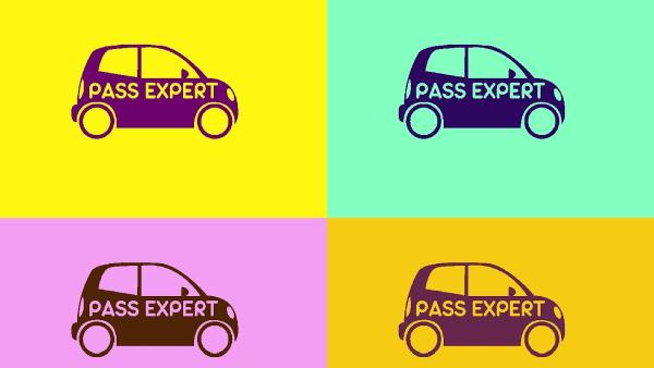 Pass Expert
