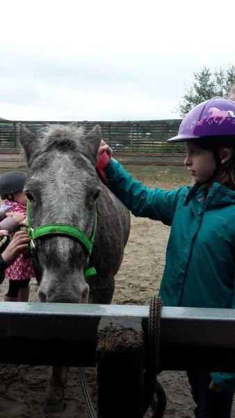 Swan Lane Equestrian Centre