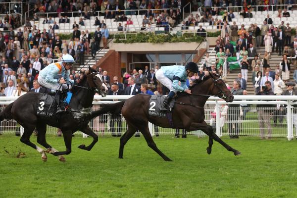 Highclere Thoroughbred Racing Ltd