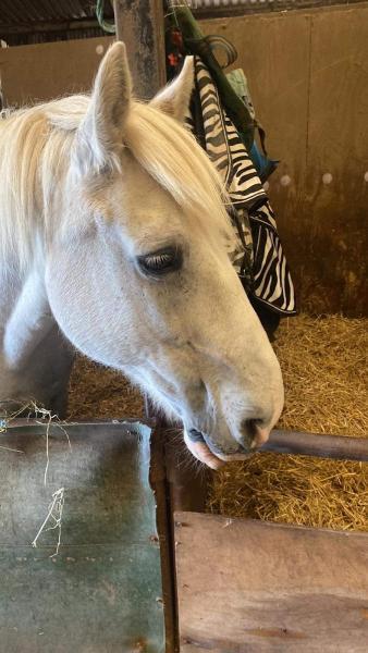 Severnvale Equestrian Centre