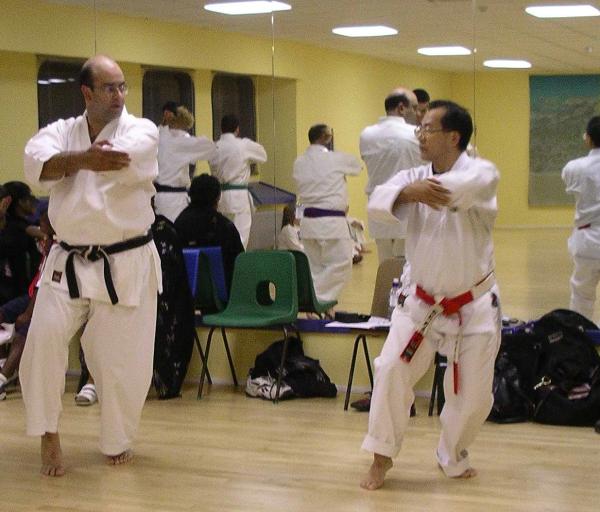 Nintai Karate Club