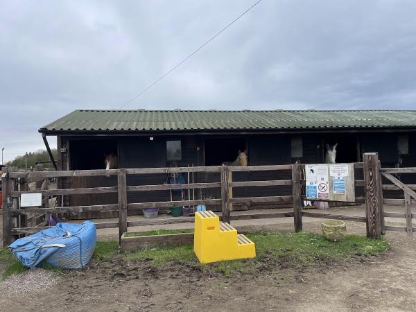 Shepperdine Riding School