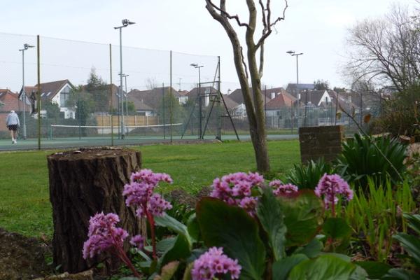 Crowstone and Saint Saviours Tennis Club