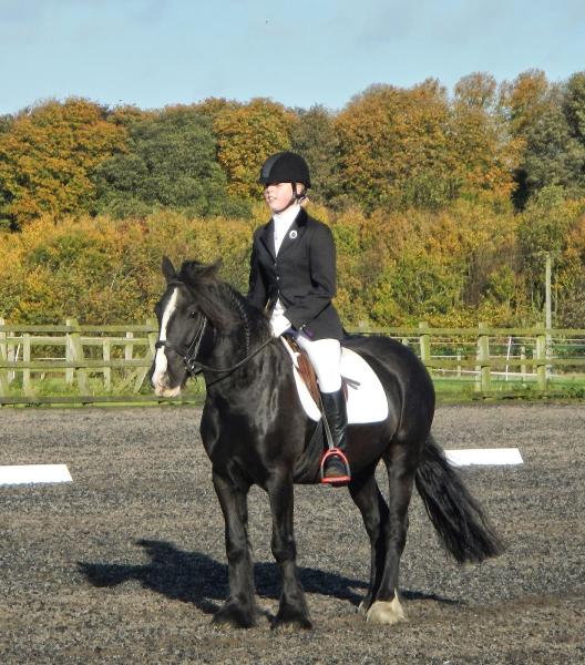 Elms Farm Equestrian Centre