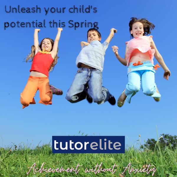 Mytutorelite Entry Exam Tuition 7+ 11+ Iseb