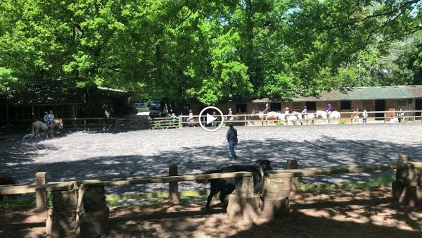 Budleigh Salterton Riding School