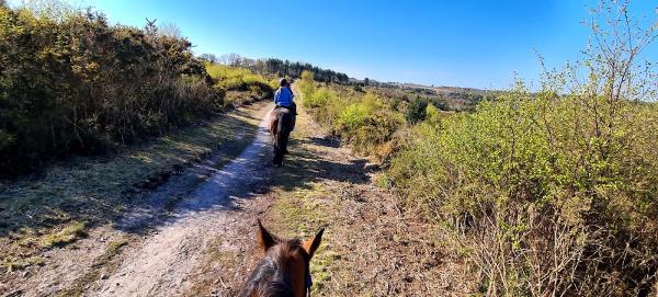 Budleigh Salterton Riding School