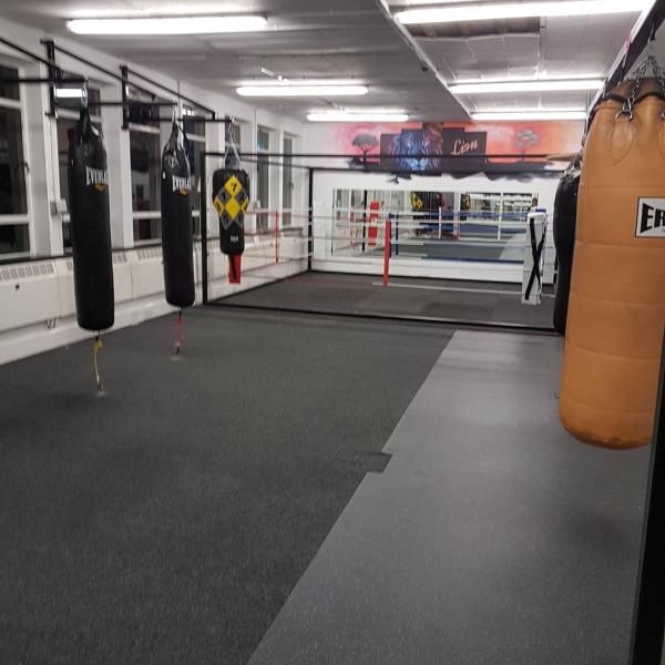 The Lion Gym & Boxing Club Bradford