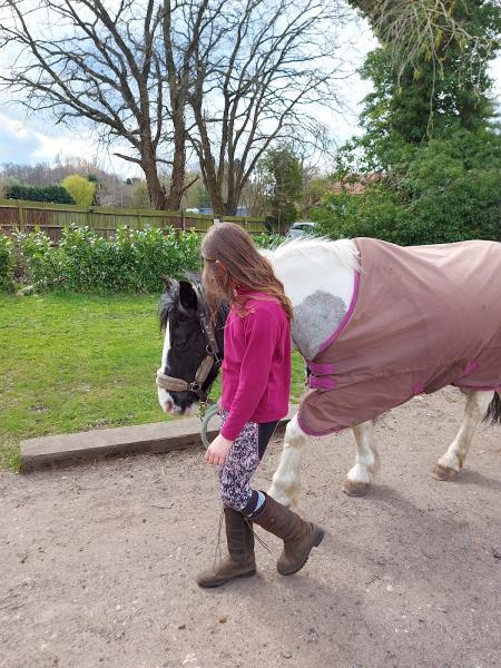 LGB Equestrian Riding School