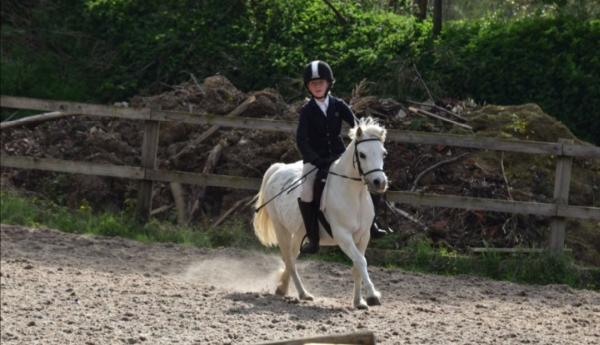 LGB Equestrian Riding School