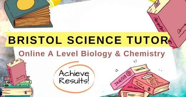 Bristol Science Tutor