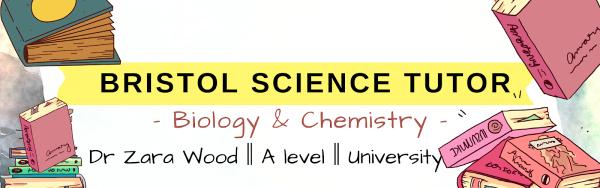 Bristol Science Tutor