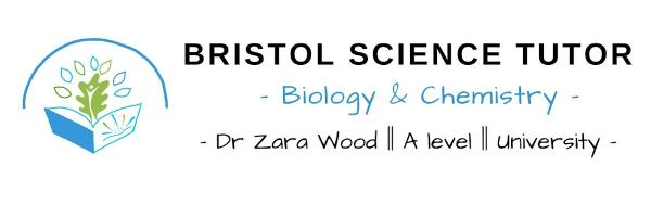 Bristol Science Tutor