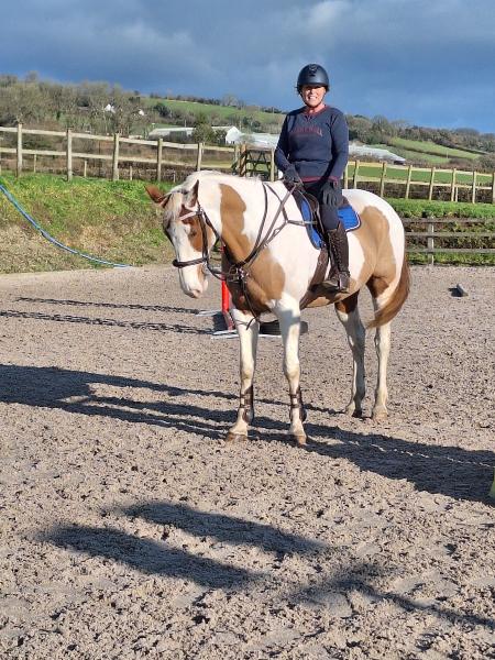 Ivybridge Equestrian