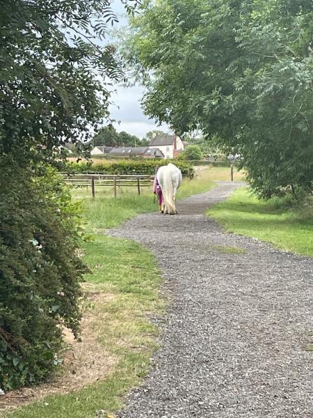 Broomy Farm Hartshorne DIY Livery Stables